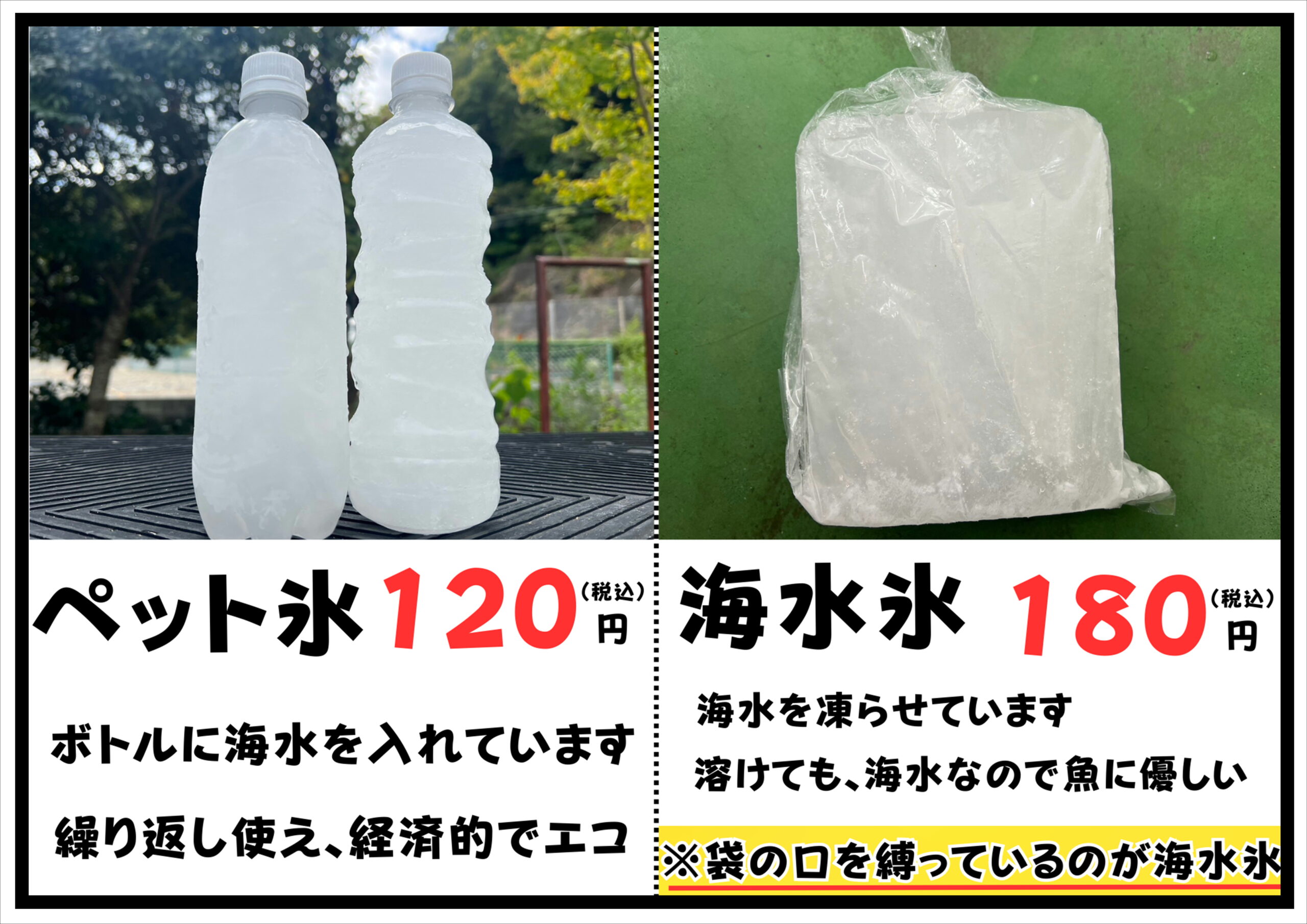 海水氷とペット氷は、共に海水を凍らせている。これは釣太郎オリジナル商品。