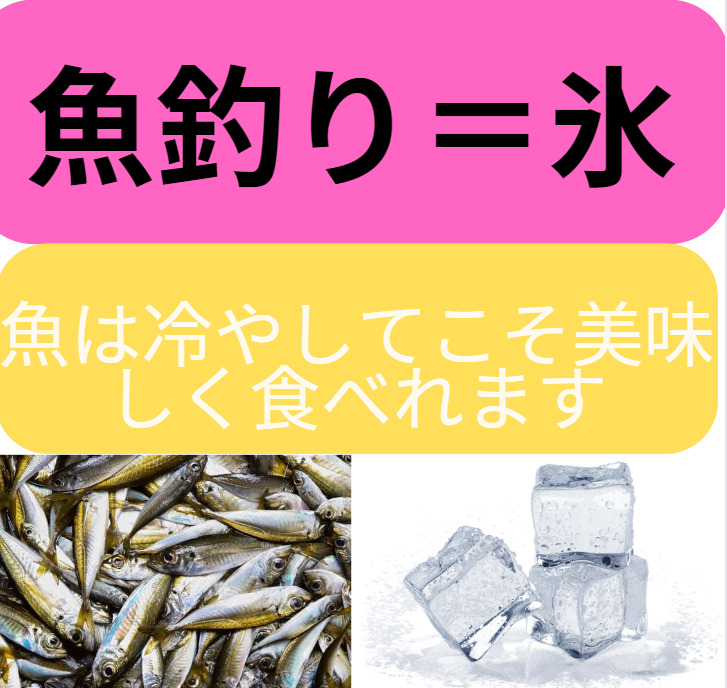 釣った魚をおいしく食べるには、氷で冷却するのが絶対条件。釣行前に忘れずに購入しましょう。釣太郎