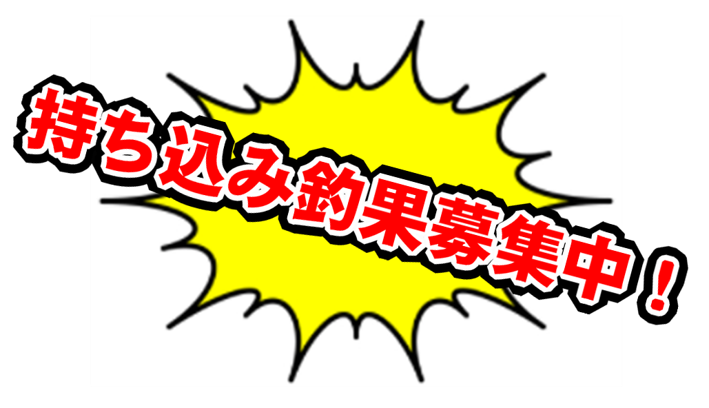 釣果募集。アオリイカ、魚気軽にお持ち込みください。バラ氷サービス。