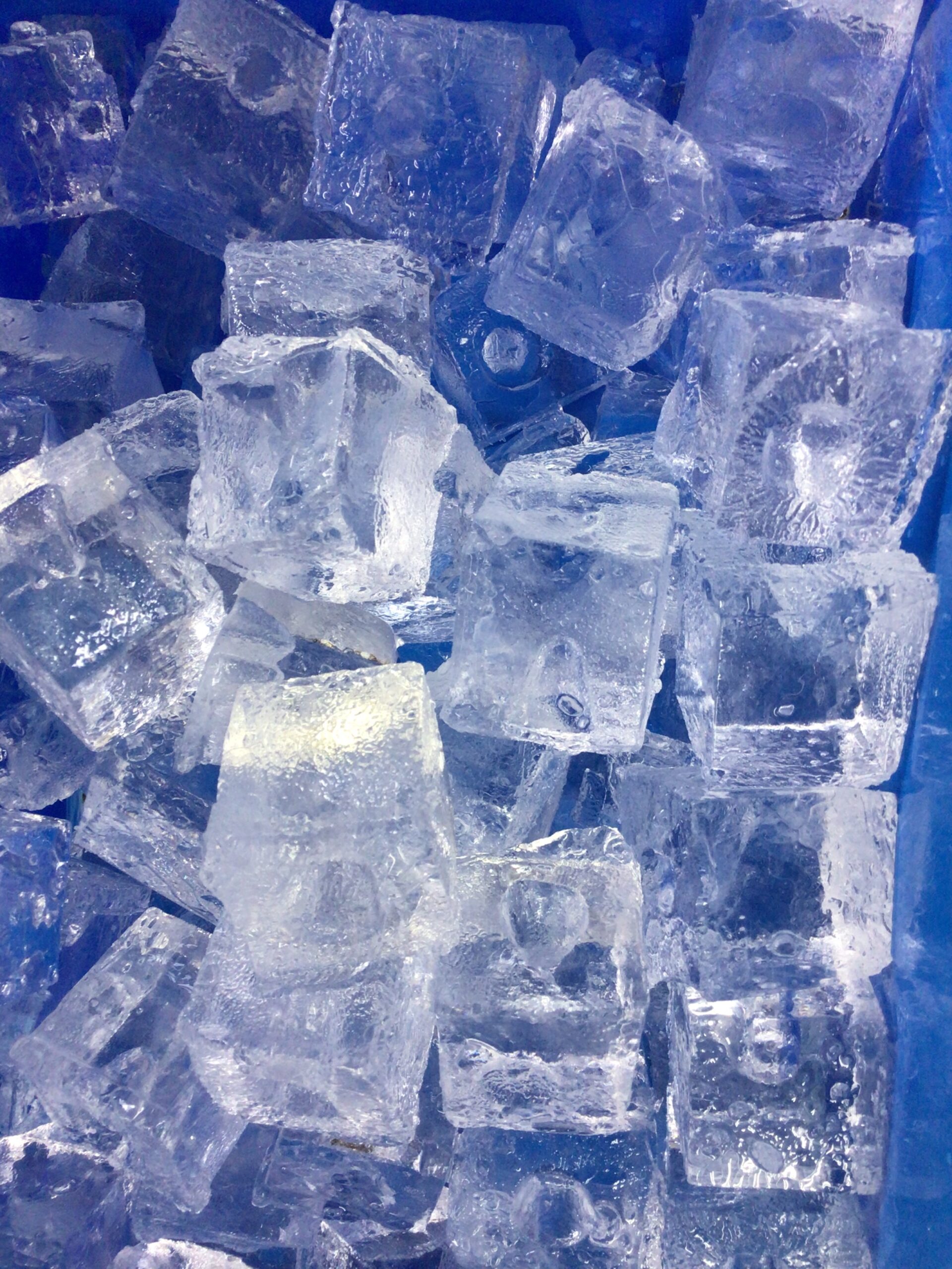 海水を入れ冷却するならバラ氷がおすすめ。氷締めでき、そのまま保管できます。釣太郎