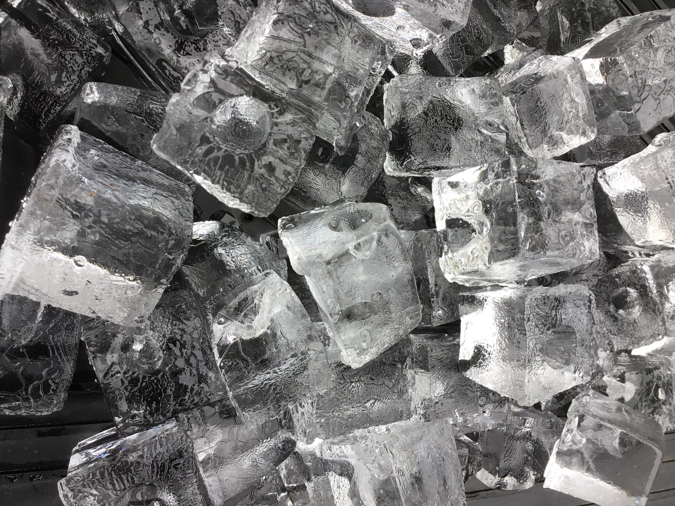 釣った魚をおいしく食べるために、氷は必須アイテム。変温動物の魚の体温を急速に下げる事が、鮮度管理の要諦。釣太郎