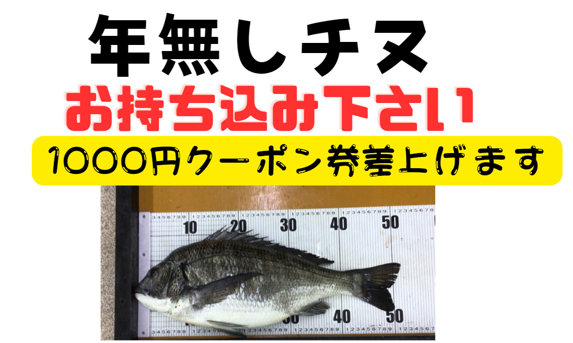 50センチ以上の年無しチヌ（黒鯛）釣果お持ち込みの方に1000円クーポン券プレゼント。釣太郎