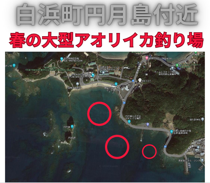 和歌山南紀白浜円月島付近は、大型アオリイカが釣れるポイントとして有名。釣太郎