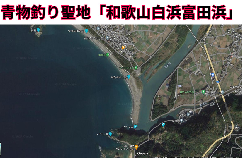 和歌山県白浜町富田(とんだ)浜は青物回遊魚釣りの聖地。釣太郎