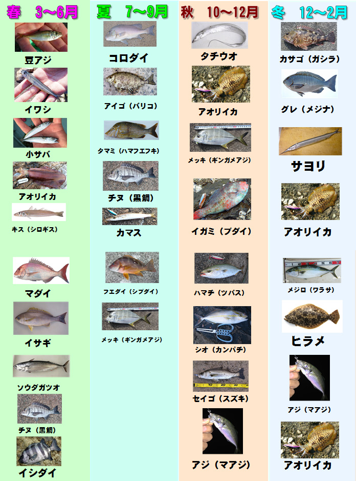 和歌山南紀地方で釣れる海の魚を、季節ごとにご紹介。釣太郎