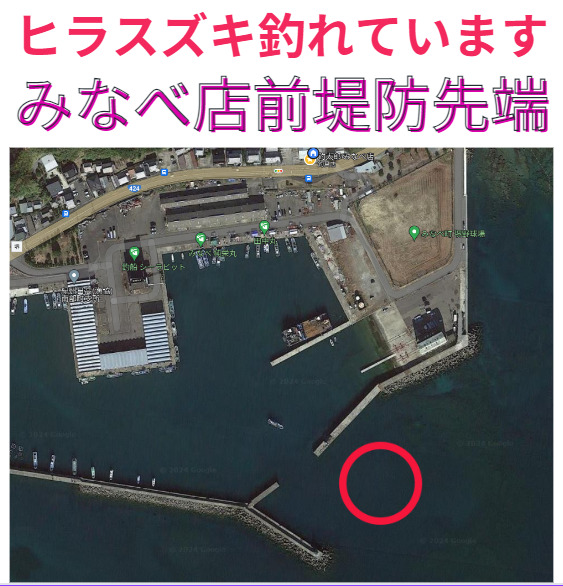 アジ群れを狙いヒラスズキが好調。釣太郎