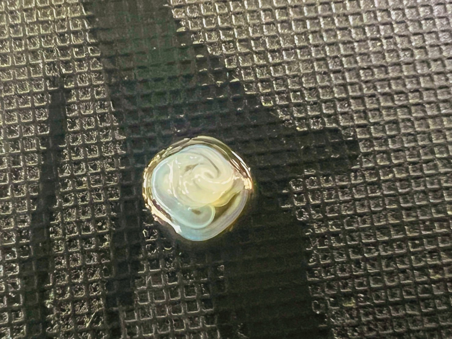 有毒で危険な寄生虫アニサキス。釣太郎