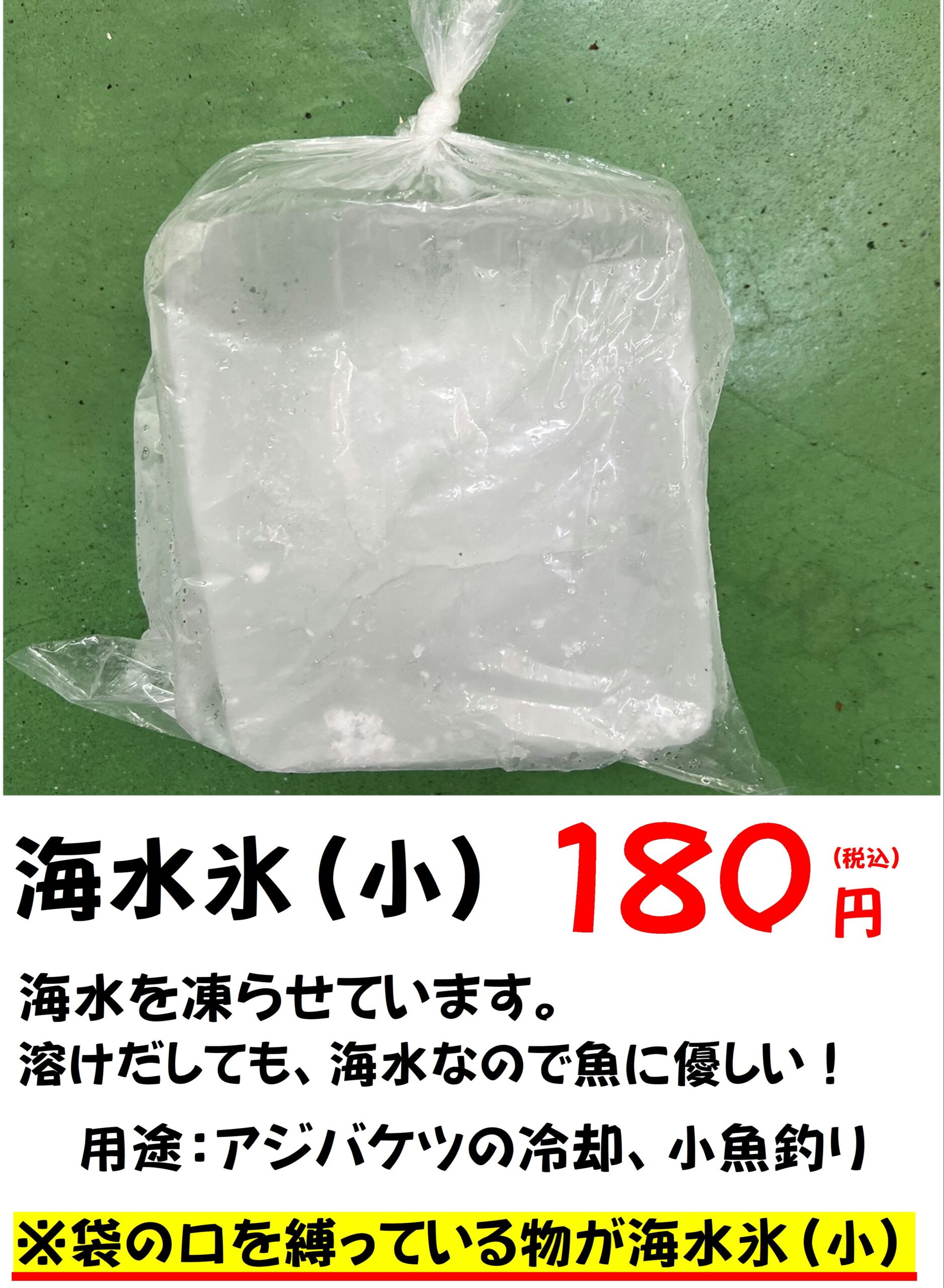 海水氷は解けても、釣った魚に優しく、冷却に最適。釣太郎