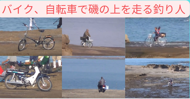 釣り人が自転車、バイクで磯の上を走る和歌山南紀田辺市元島地磯。釣太郎