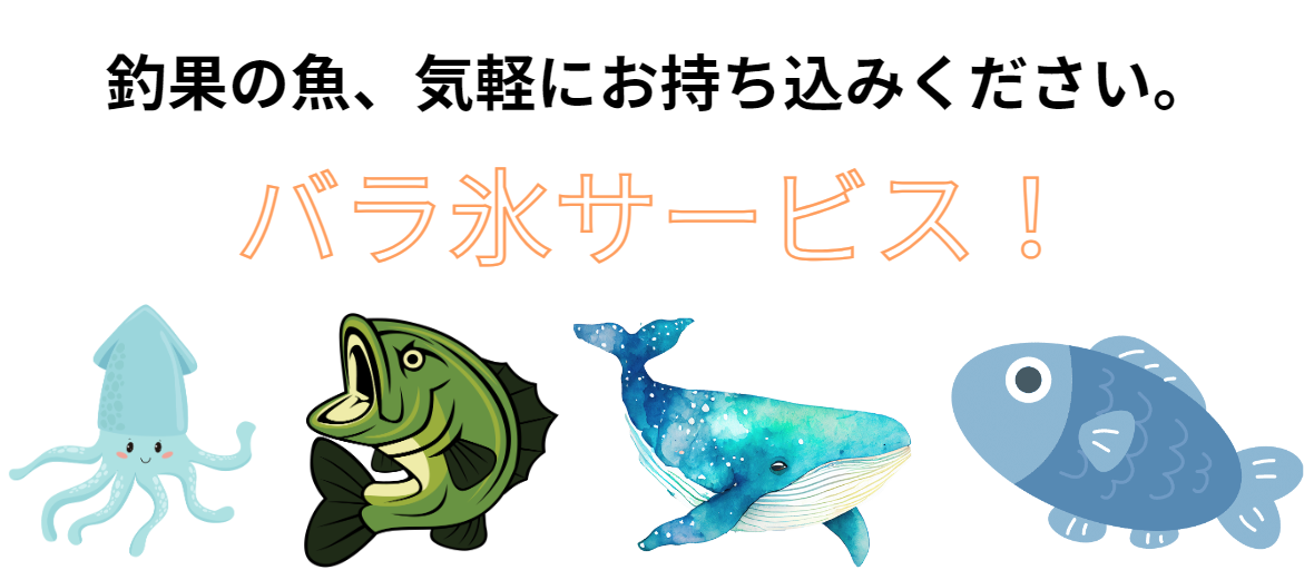 釣った魚、アオリイカ、魚種サイズ問いませんので、お気軽に持込下さい。バラ氷サービス。釣太郎