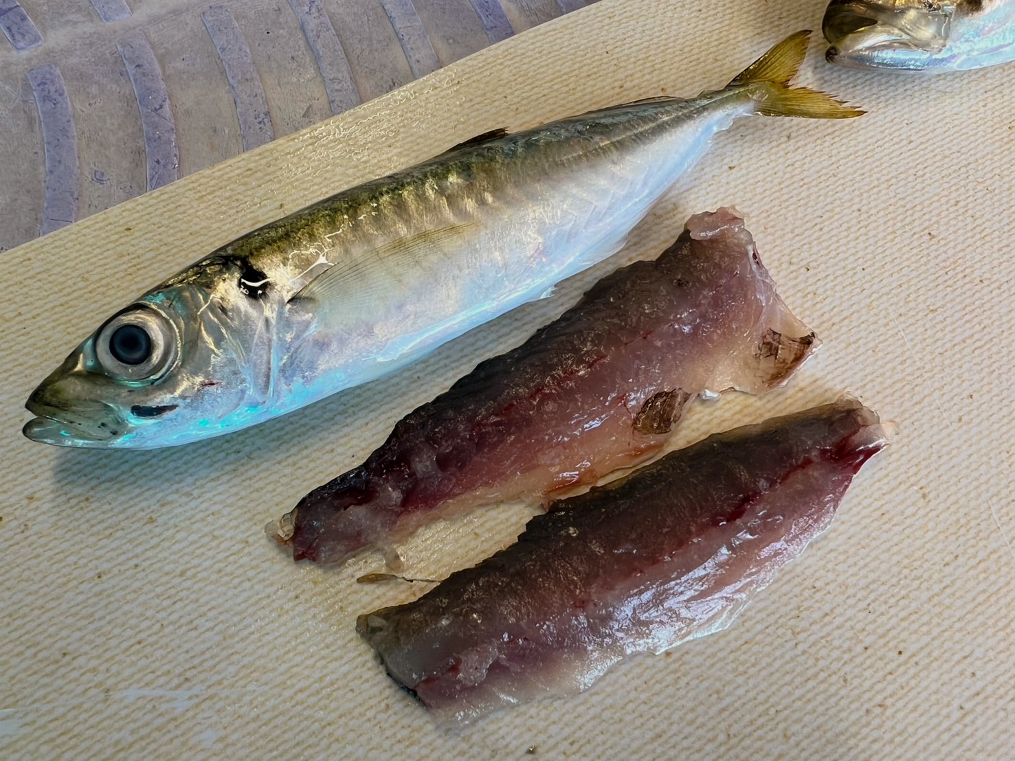 血合いが多い分、赤っぽい実をしている丸アジ。刺身より塩焼き、フライ、煮付けが美味か。釣太郎