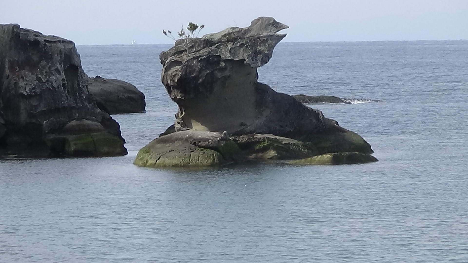独特の形をしたユーモラスなカラス岩。これは和歌山県白浜町富田（とんだ）河口。釣太郎