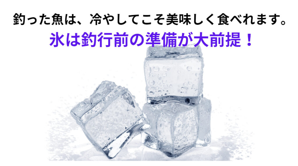 魚は、海水温度と同じ熱を持つ変温動物。氷で冷やさなければ美味しく食べれません。釣行前に必ず、氷は準備しましょう。釣太郎
