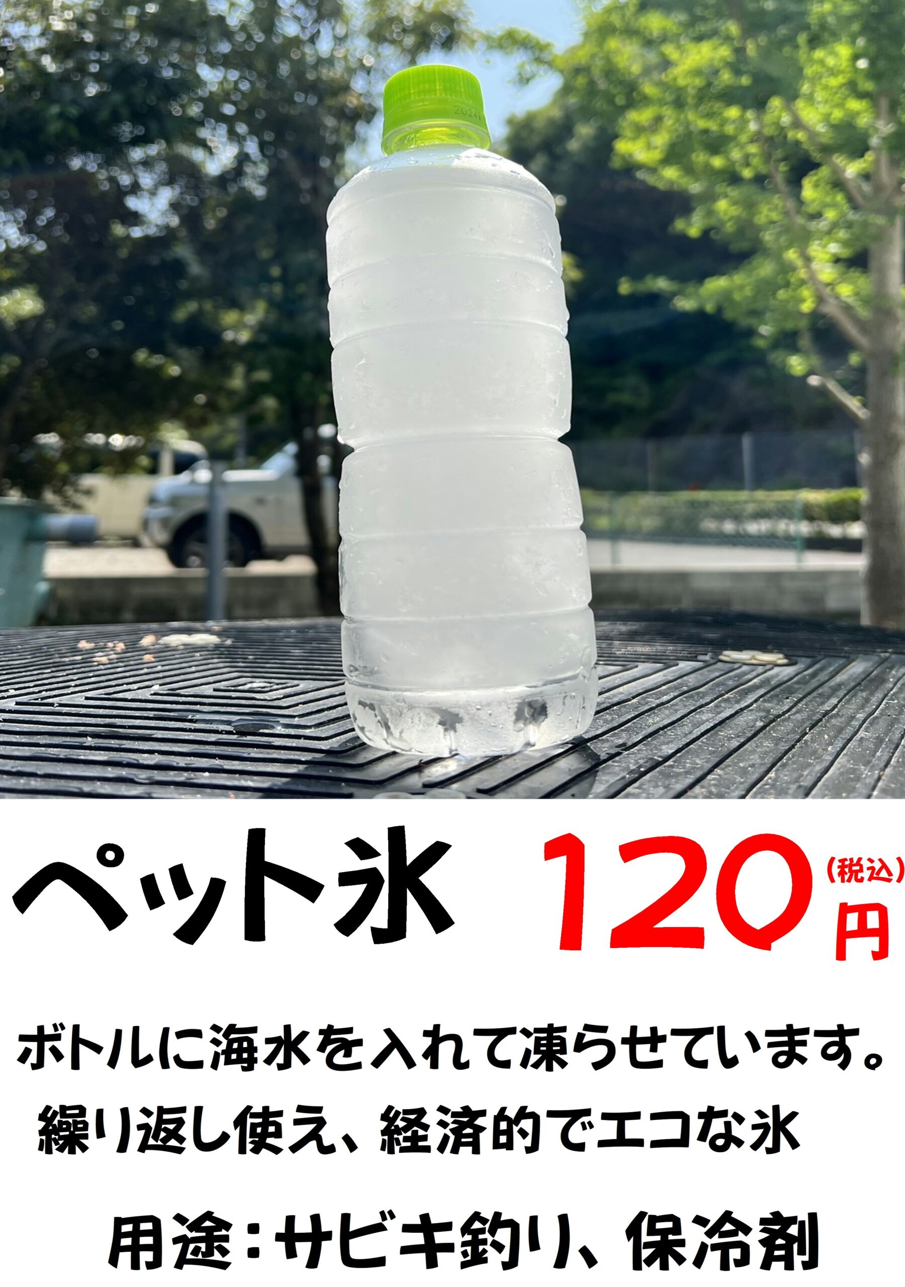 ペットボトル氷　海水を入れて凍らせています。