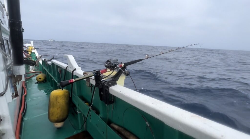 ささめ ロック付ボールベアリング