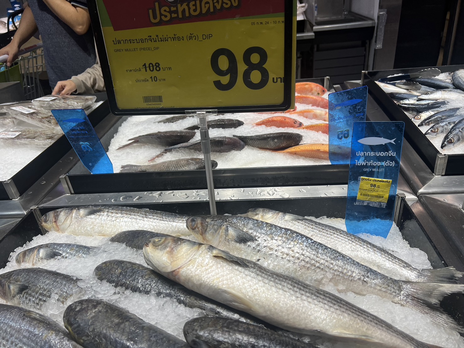 タイ　魚の値段