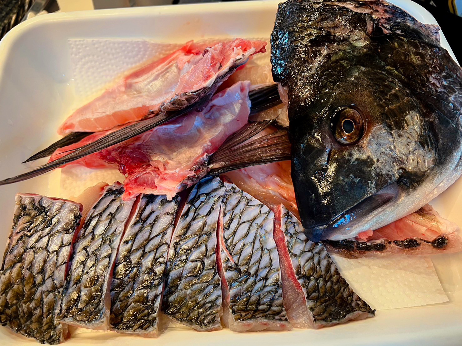 黒鯛（チヌ）まずい美味しい　料理　食べ方　釣り　釣太郎