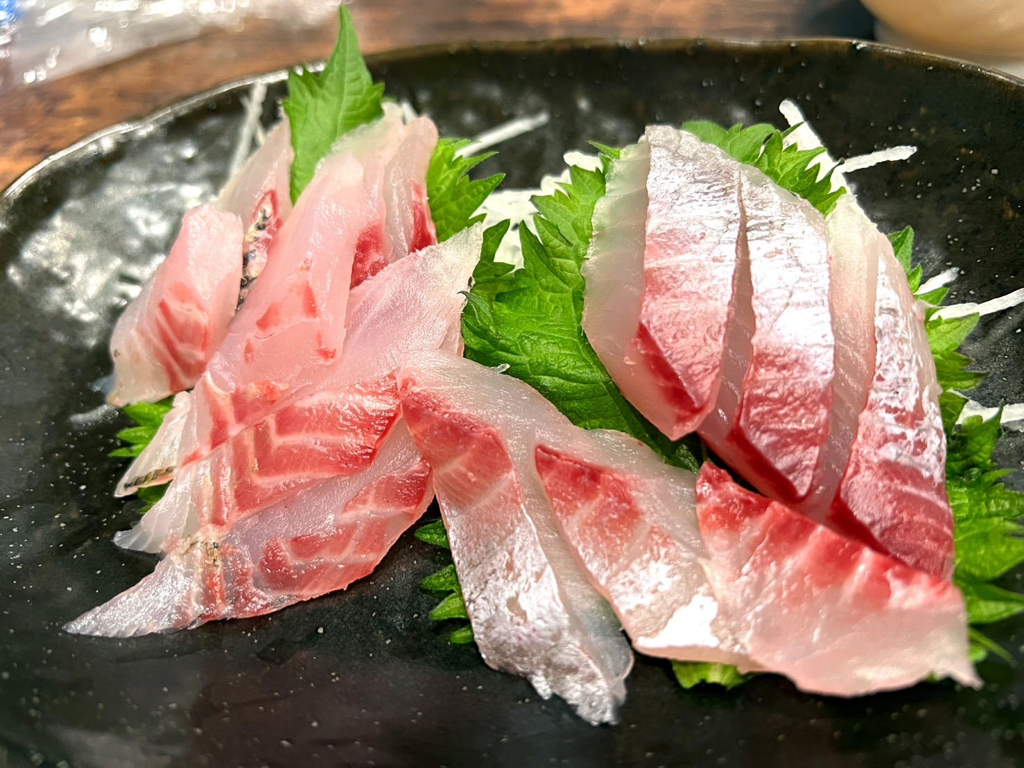 釣り　釣太郎　冬季は魚が美味しい　イサキ　オオモンハタ　真鯵