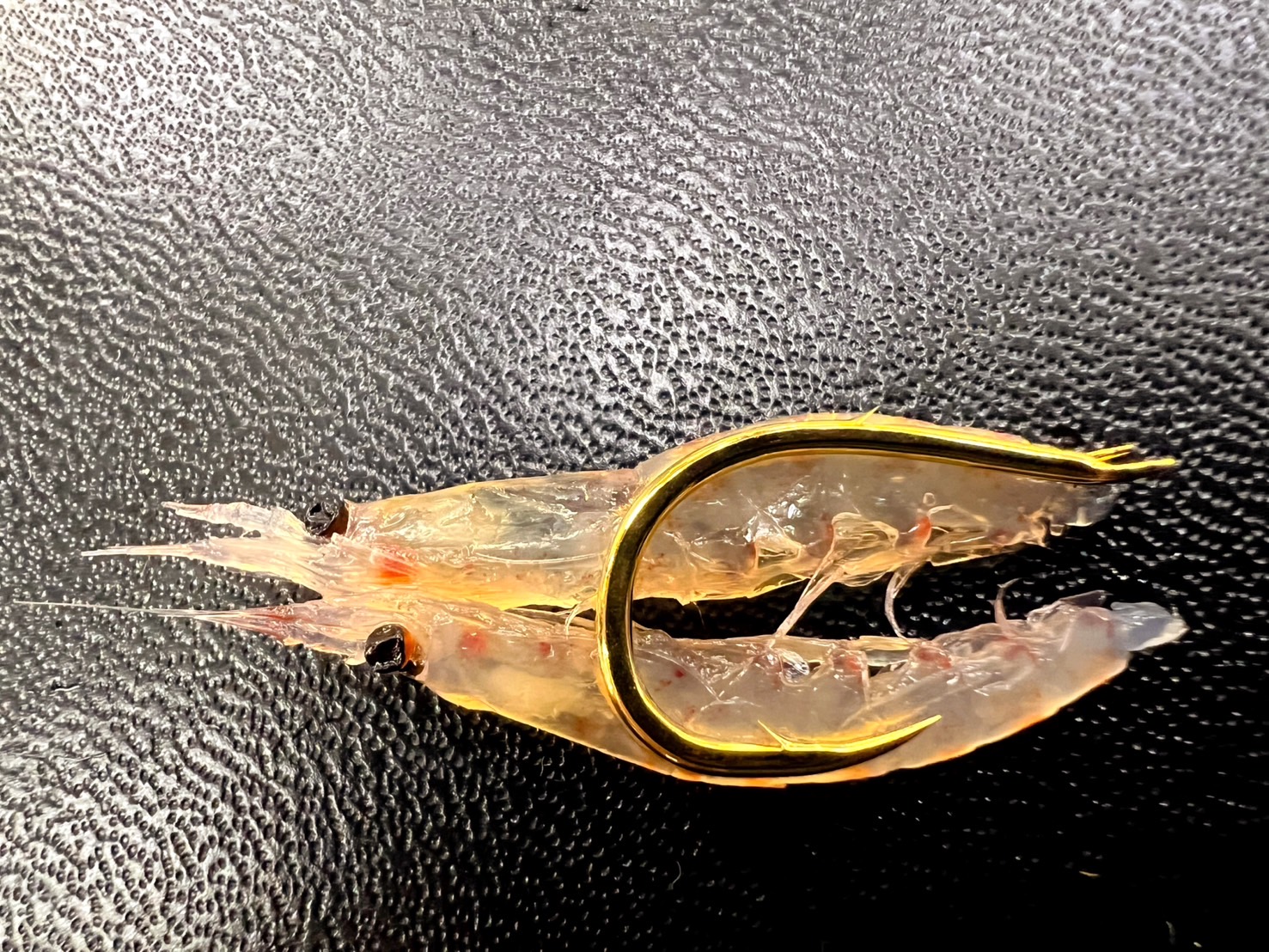 超高級魚シロアマダイ　和歌山　釣り　仕掛け　釣太郎　船　白甘鯛