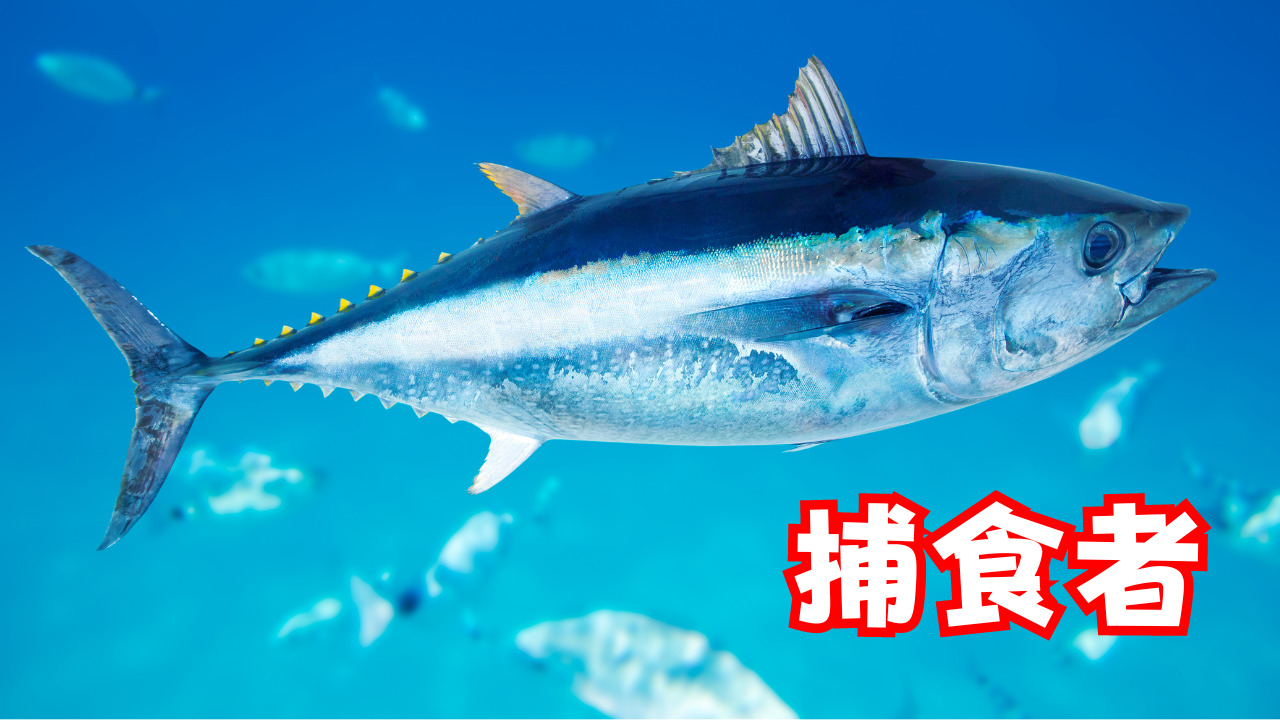 生物多様性