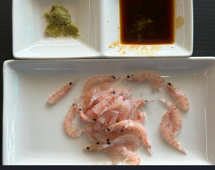 沖アミ食べたことありますか？もちろんな真でも食べれます。釣りエサ紹介。釣太郎