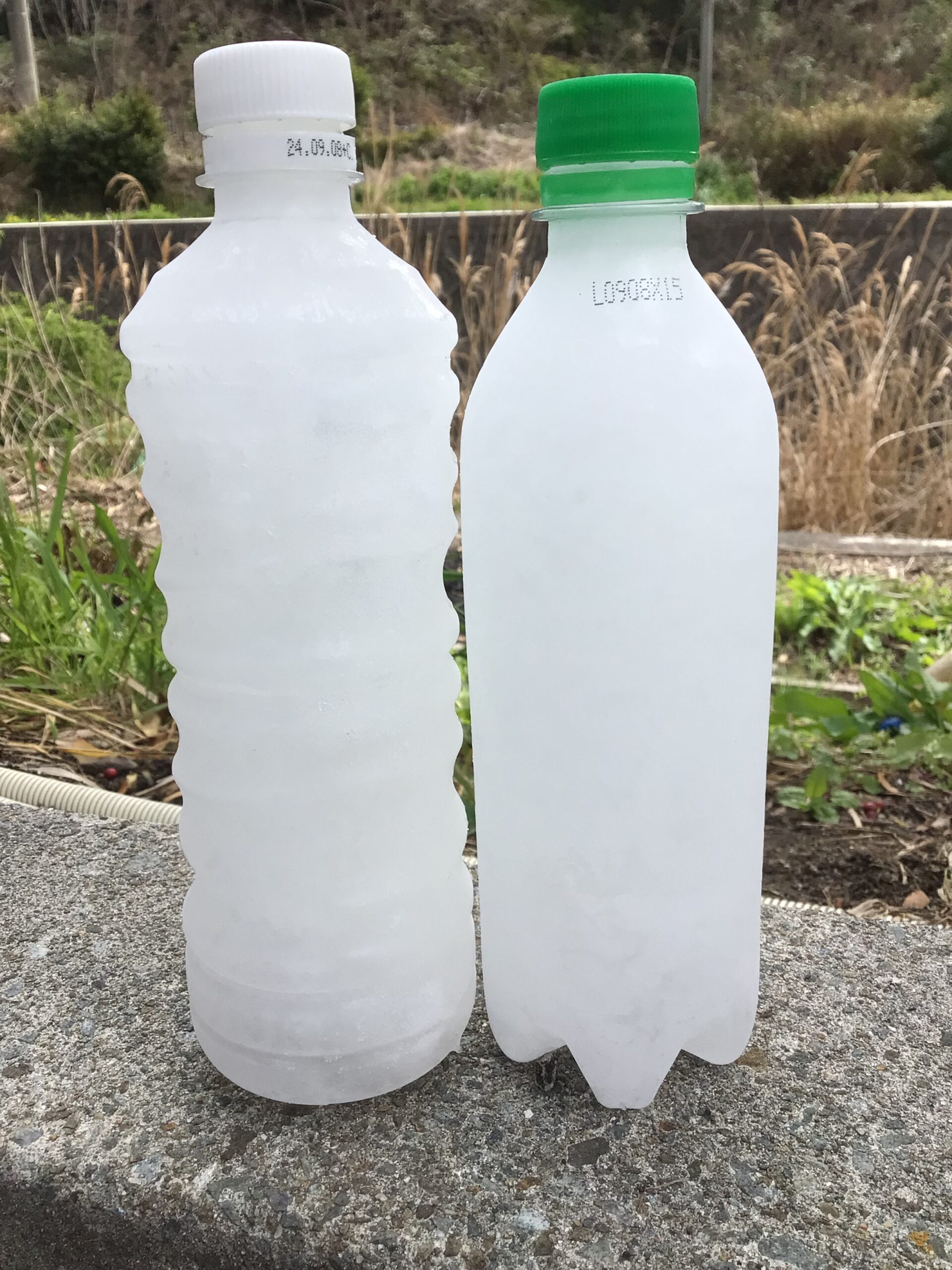 ペット氷の中身は海水。手軽で使いやすいと人気上昇中。釣魚は氷で冷やしましょう。釣太郎