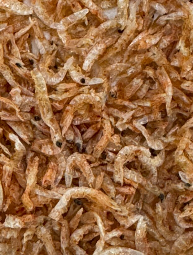 乾燥アミエビは旨い。魚い食べさせるのはもったいないほどうまい。釣太郎