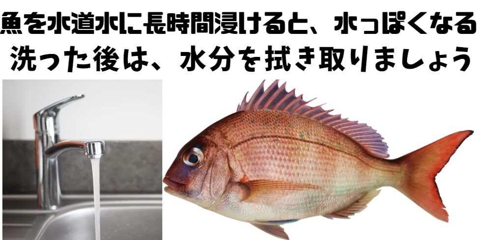 海水魚を真水に浸すと、水分を吸収し水っぽくなるので、洗った後はキッチンペーパーで拭き取りましょう。釣太郎