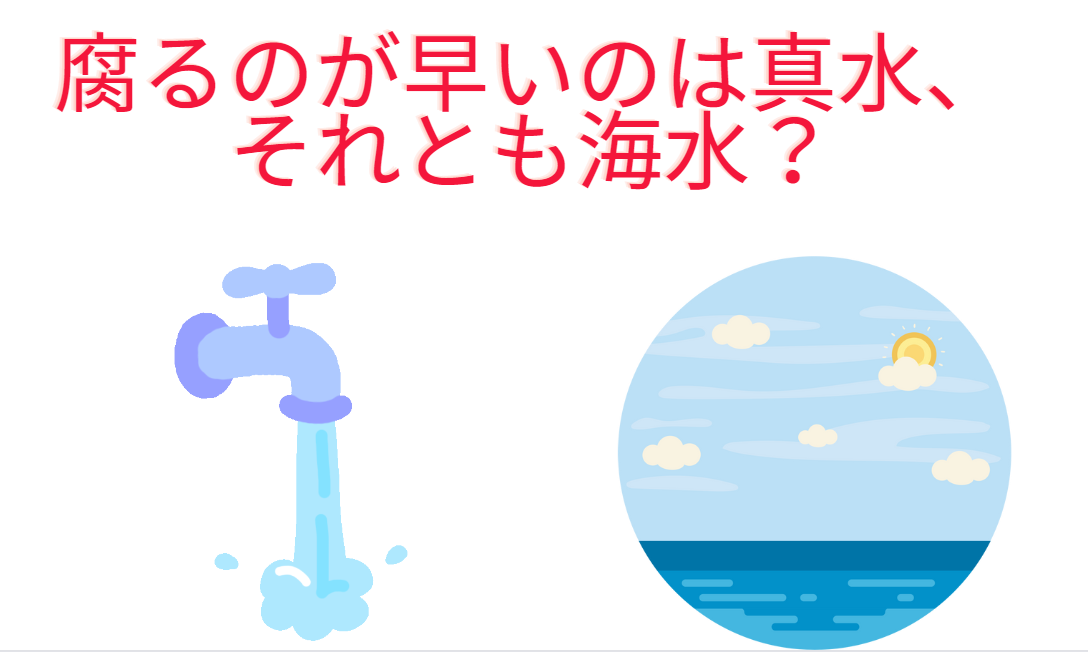 真水と海水は、どちらが腐りやすい？釣太郎