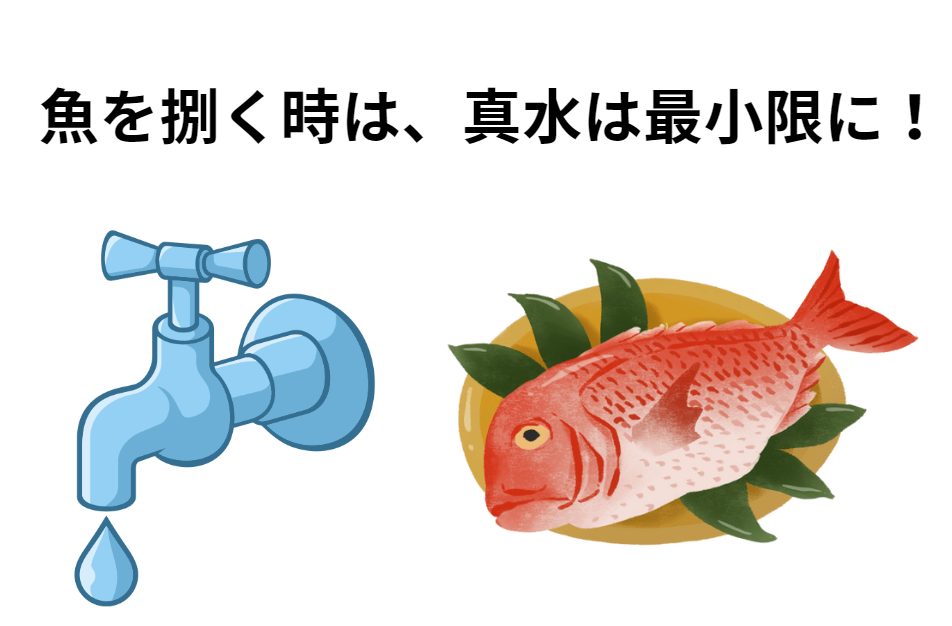 海水魚と真水はウマが合わない？調理時は真水は最小限に。釣太郎