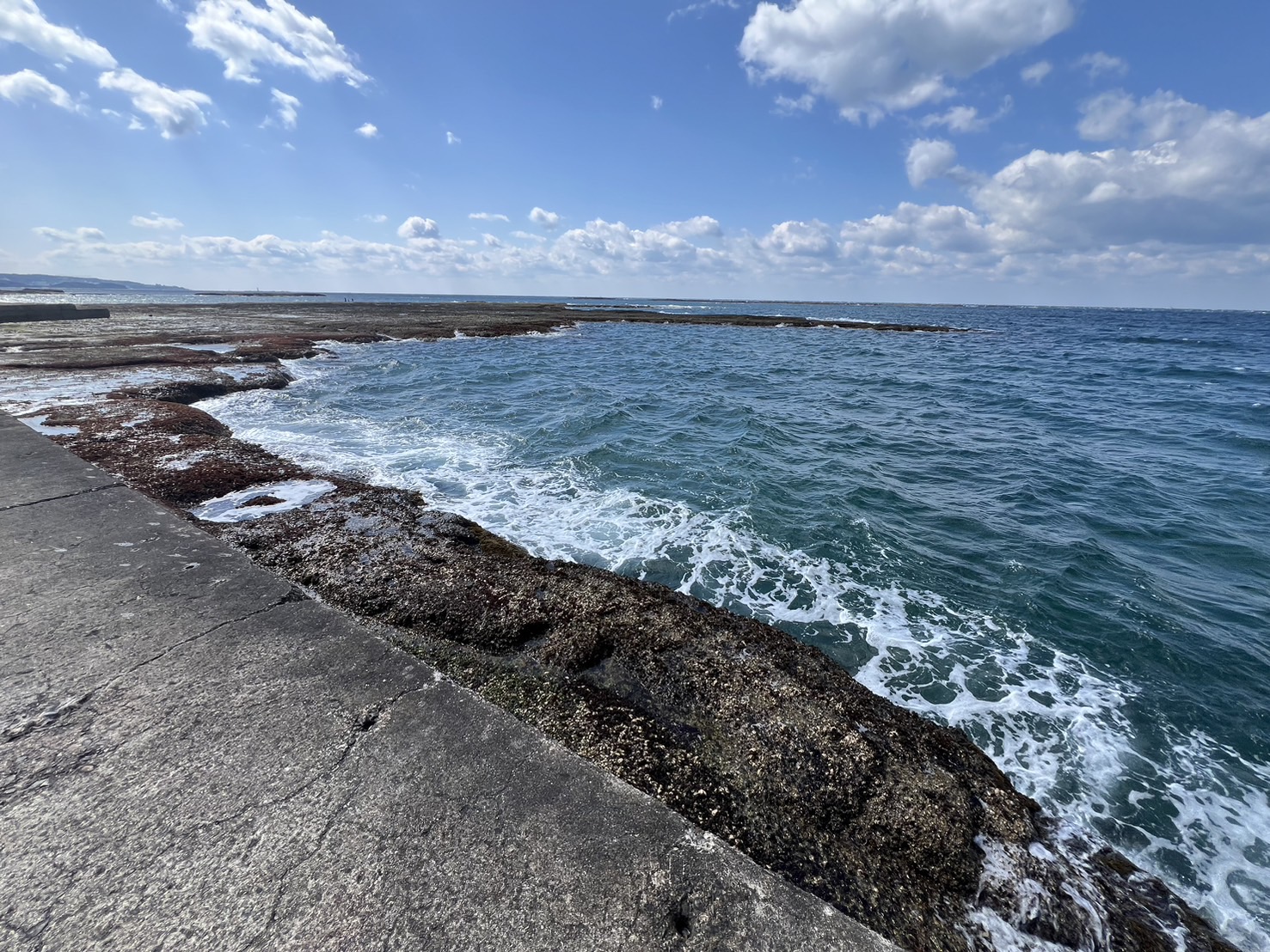 和歌山県　みなべ町　堺　森の鼻（もりのはな）釣り　釣太郎