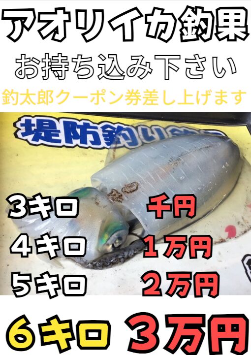 アオリイカ持ち込み釣果クーポンプレゼント。最大６キロ３万円分ご用意しています。釣太郎