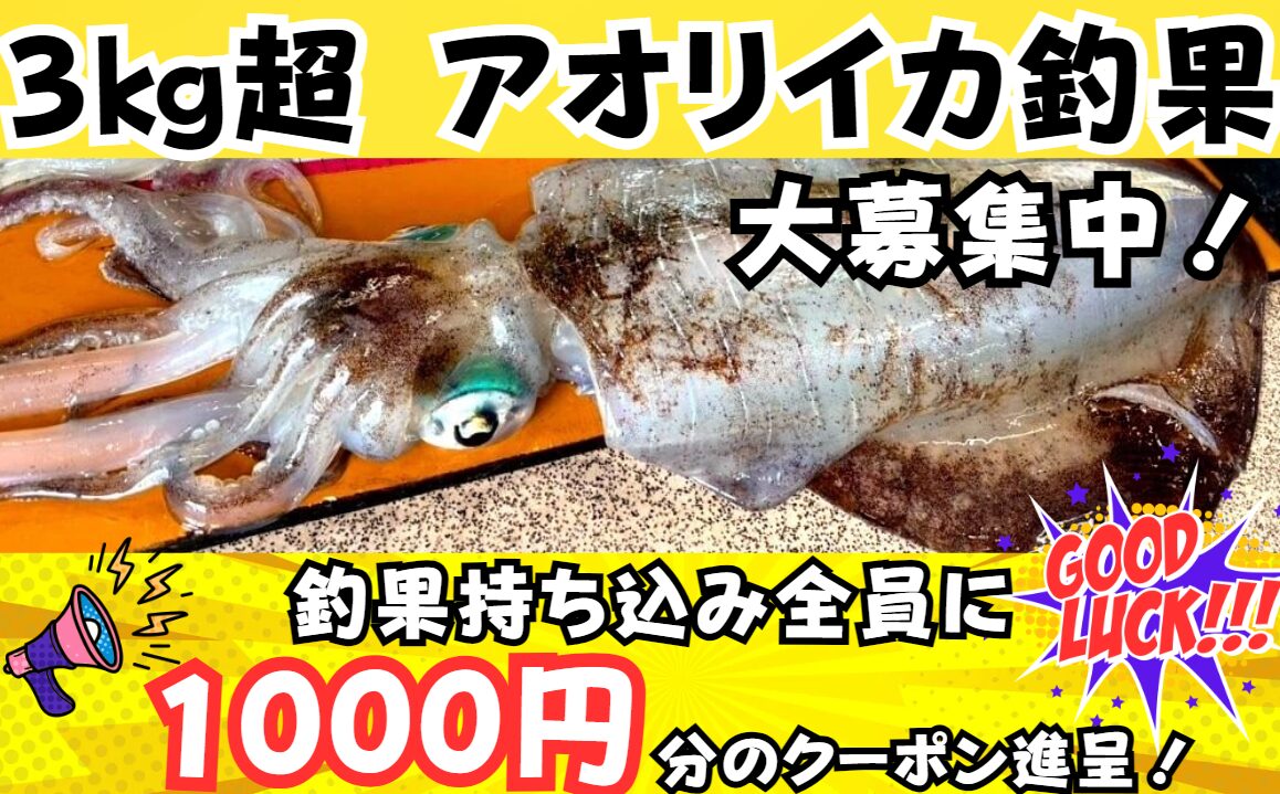 アオリイカ釣果３㌔お持ち込みの方は、千円クーポン券差し上げます。釣太郎