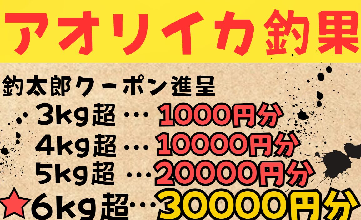 アオリイカ持ち込み釣果、3㌔なら千円、4㌔なら1万円、5㌔なら2万円、6㌔なら3万円クーポン差し上げます。釣太郎