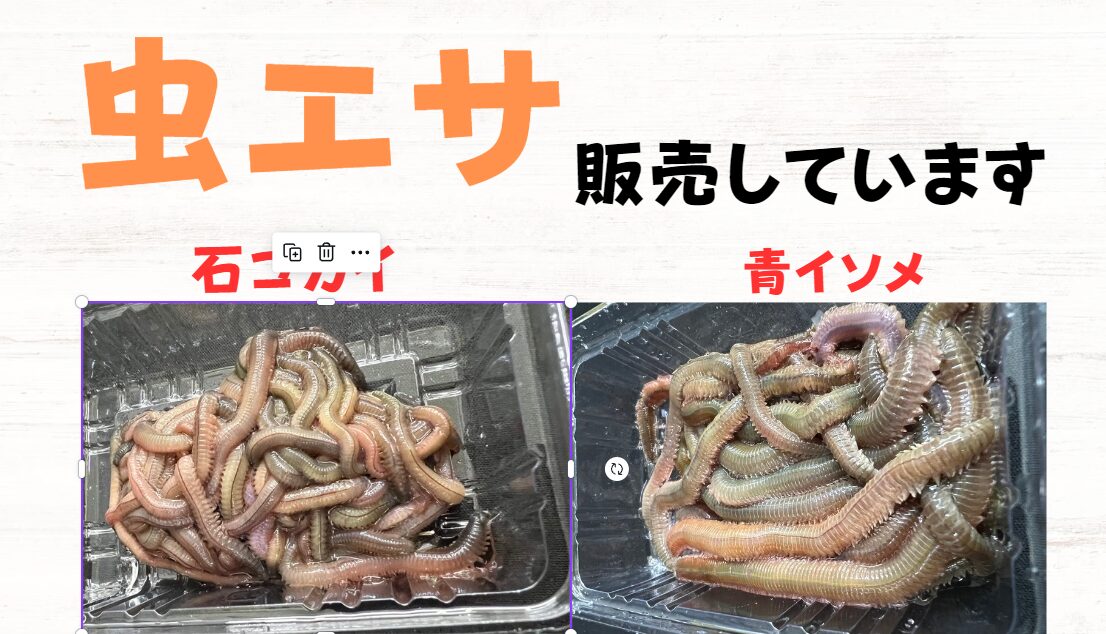 虫エサはイシゴカイと青イソメ。350円と600円があります。釣りエサ紹介。釣太郎