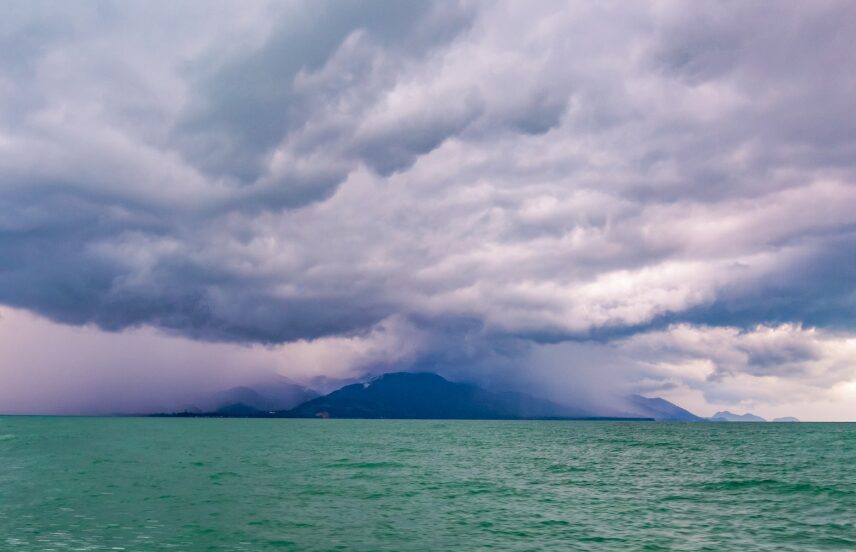 雨と森林と海の密接な関係を教えて。釣太郎