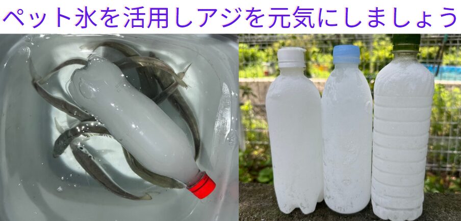 ペット氷は魚を冷却するだけではなく、アジバケツの水温上昇防止にも使われており、大ヒット商品となりました。釣太郎
