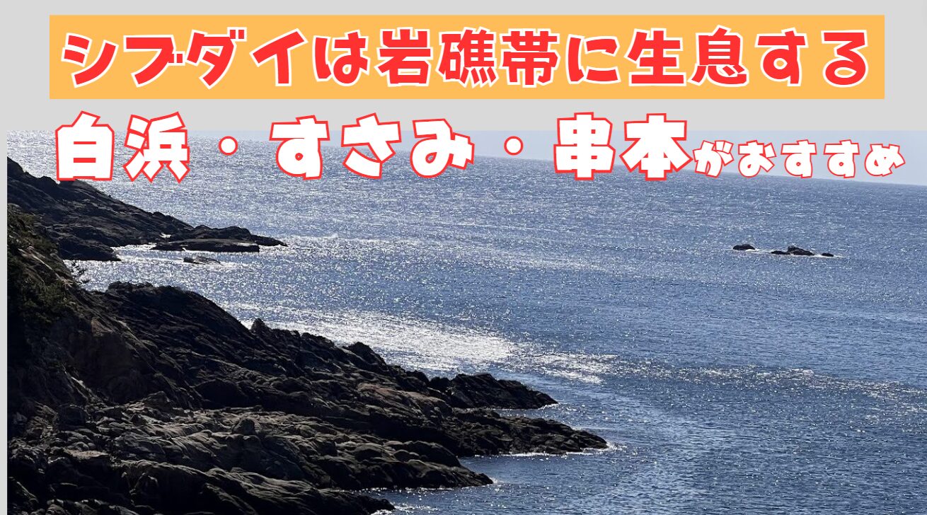 シブダイ（フエダイ）は岩礁地域に生息します。狙うならすさみ、白浜、串本町がお勧め。釣太郎