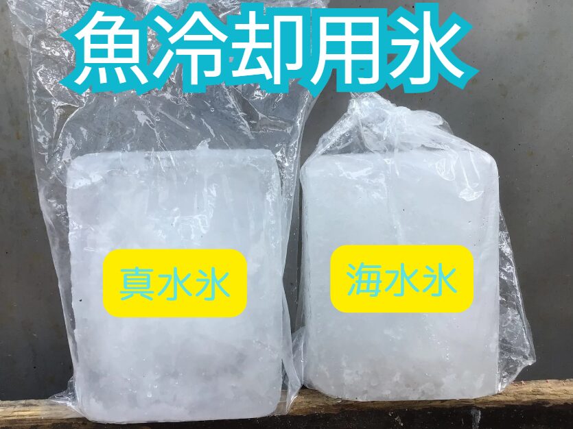釣った魚を冷やす氷ブロックは真水氷と海水氷、２種類あります。釣太郎