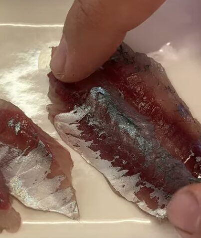 魚の血合いについてご説明。釣太郎