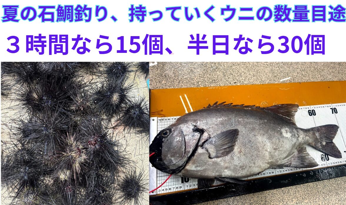 夏の石鯛釣りエサのウニ。３時間程度の釣行なら１５個、半日なら３０個を目途に。釣太郎