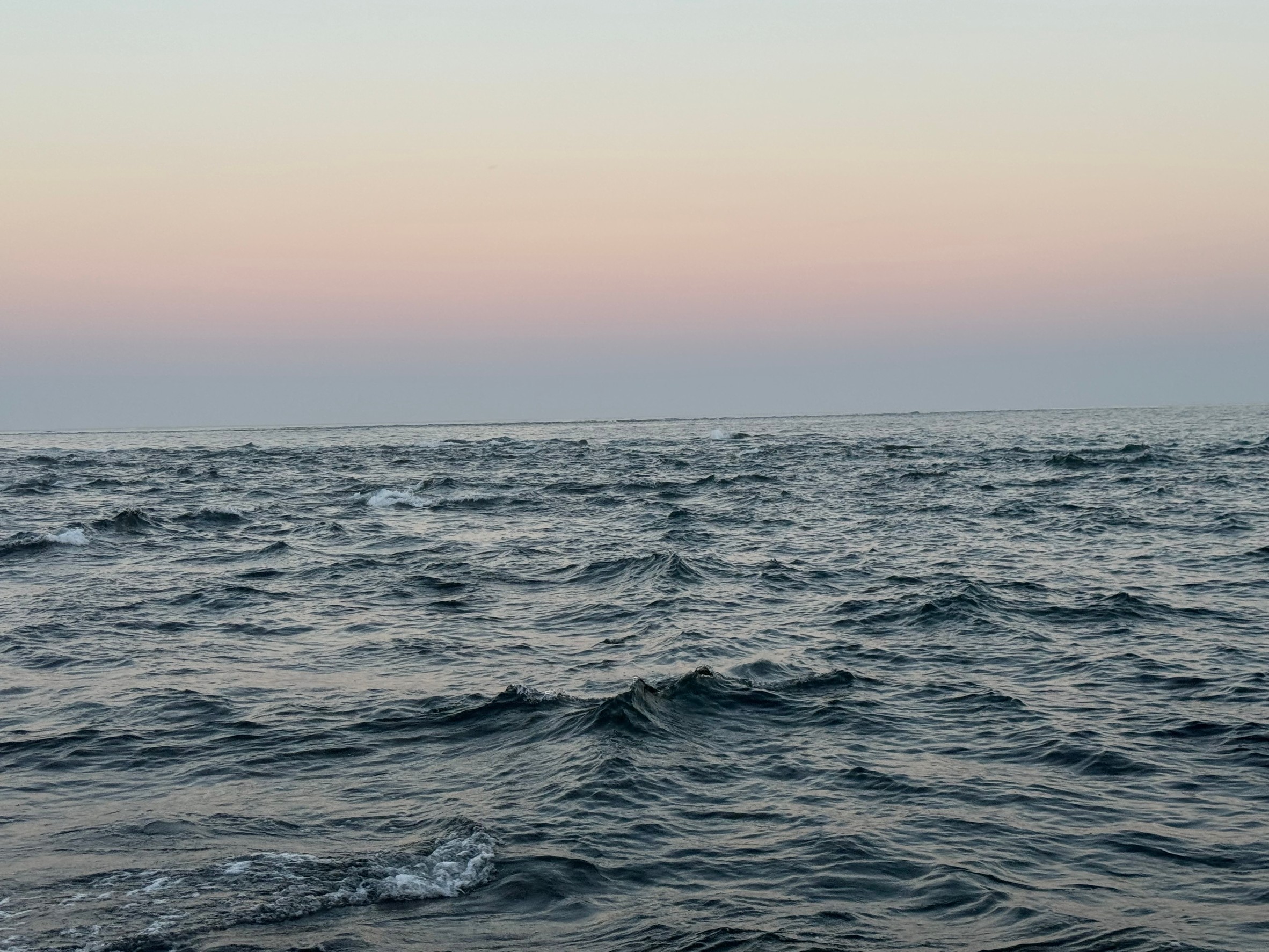 海は気持ちいいが、特に朝一番が最高。これには理由があるの？　釣太郎