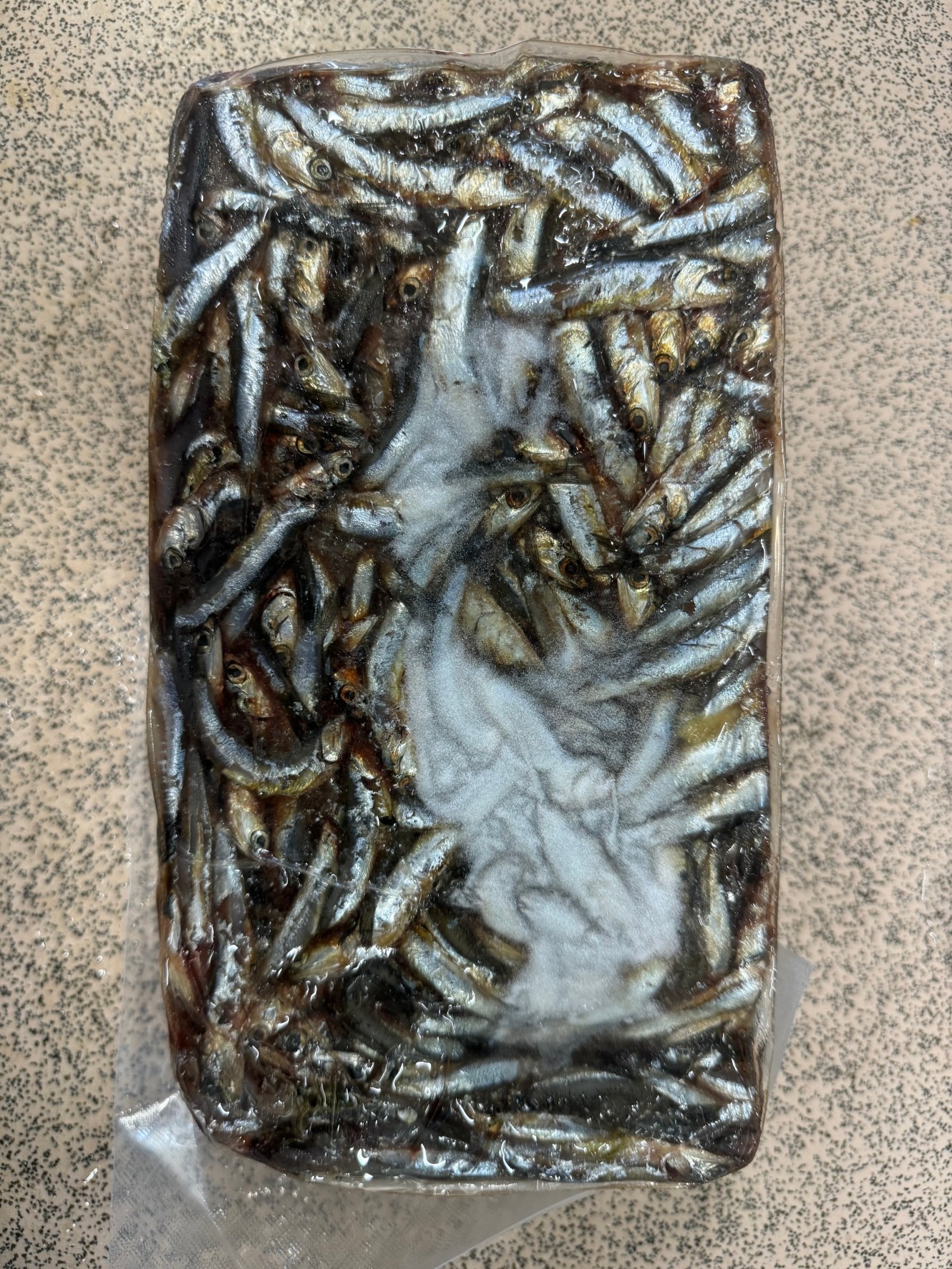 大物魚釣り用マキエサのいわし４㌔ブロック。週末にはかなり売れます。解凍もできるので、ご予約下さい。お待ちしております。夜釣り、ブッコミ、スルスルスルルー釣り用エサ。釣太郎