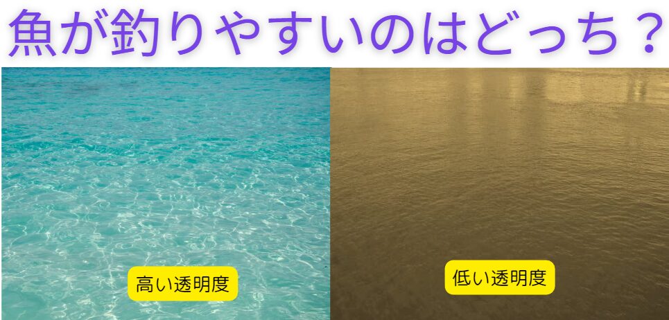 海の魚は透明な方が釣りやすい？それとも濁っている方が、警戒心が弱くなるので釣りやすい？釣太郎