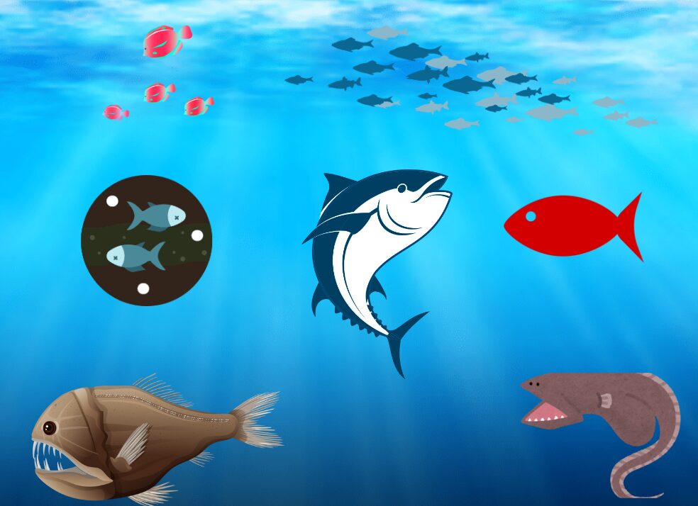 浅瀬の魚、深海の魚、何が違うの? 釣太郎