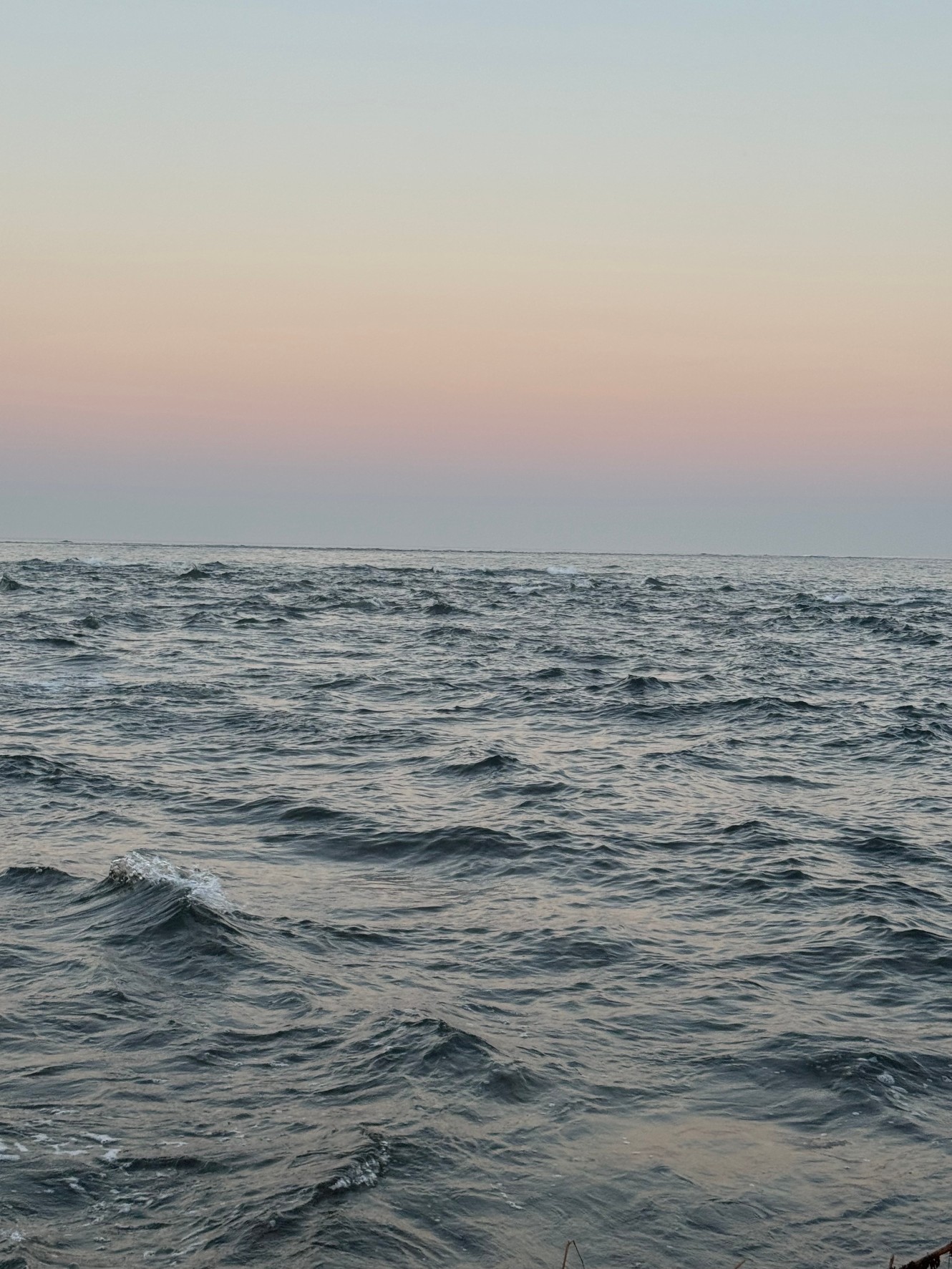 暑い夏こそ、朝一番近江は気持ちがいい。特に海辺は最高。釣太郎