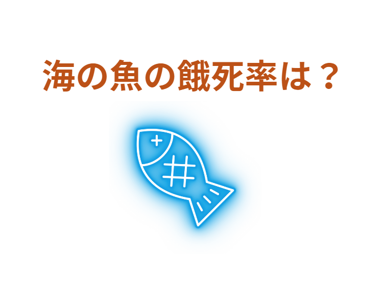 海の魚の餓死率はどれくらい？釣太郎