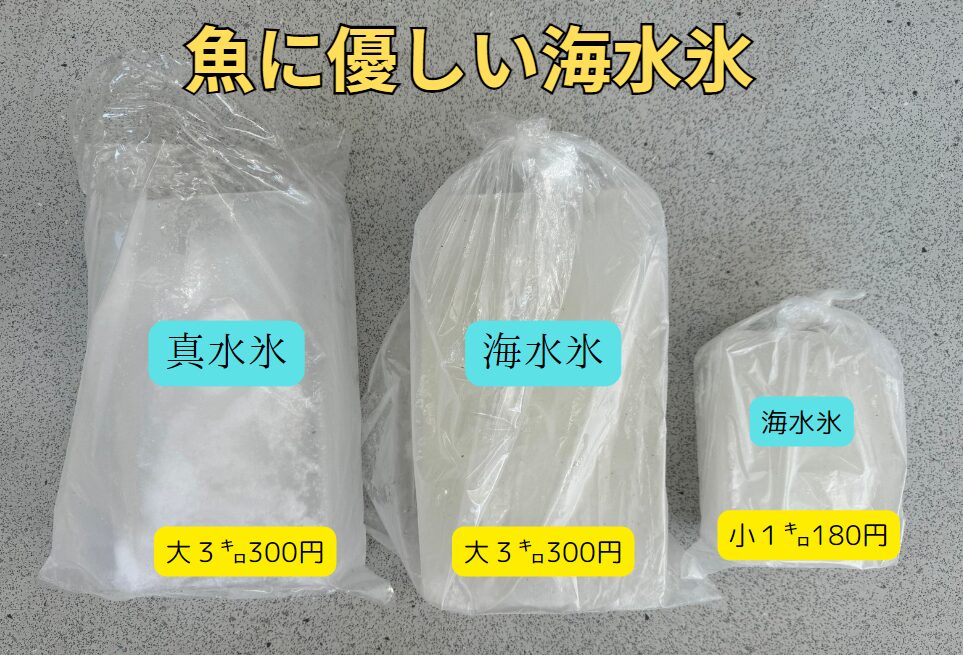 氷ブロックは通常氷（真水）と海水氷の２種類、ご用意しています。釣太郎