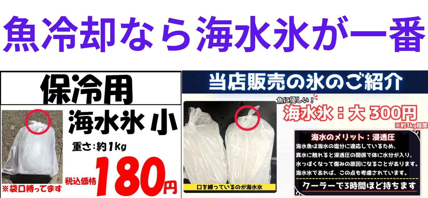 魚冷却なら海水氷の方がいいと、真水氷より売れています。釣太郎