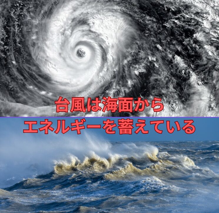 台風のエネルギー源は高い海水温度。そのため、上陸すると勢力は衰える。釣太郎
